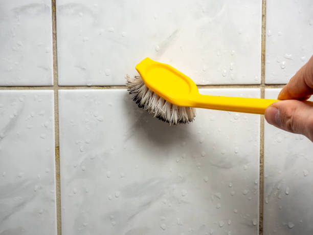 Best Commercial Mold Removal  in Baxley, GA