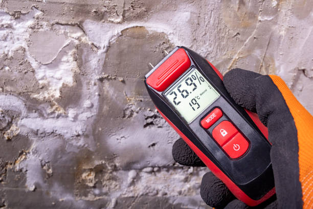 Best Black Mold Removal  in Baxley, GA