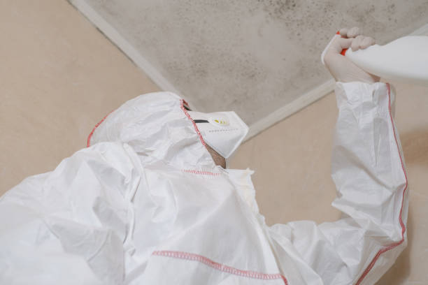 Attic Mold Removal in Baxley, GA