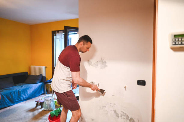 Best Professional Mold Removal  in Baxley, GA